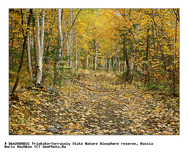 ��������-��������� ���������� ����������, ����������, ������