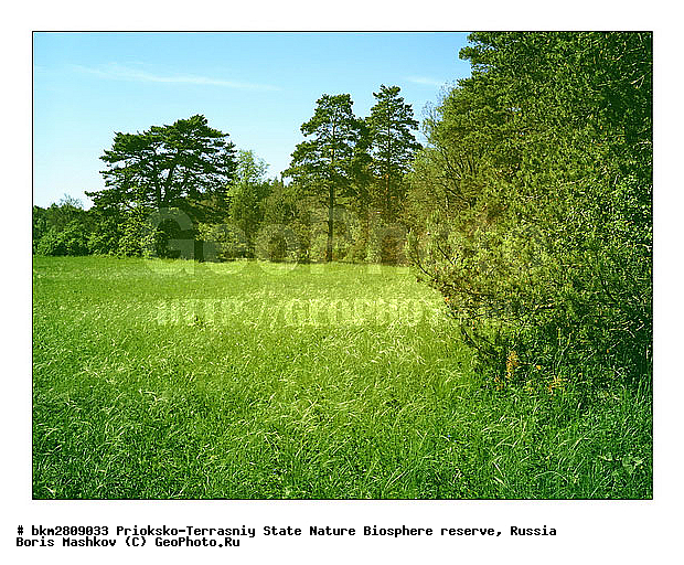 ��������-��������� ���������� ����������, ����������, ������