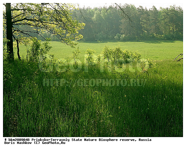 ��������-��������� ���������� ����������, ����������, ������