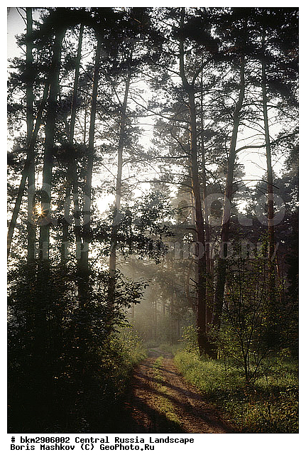 ������, ���, ������, �������, �������, ���������, �������������