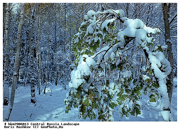 ������, ���, ������, �������, �������, ���������, �������������