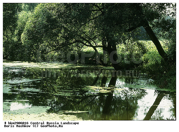 ������, ���, ������, �������, �������, ���������, �������������