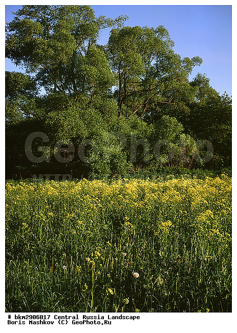 ������, ���, ������, �������, �������, ���������, �������������