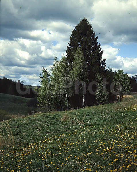 9x12, ���������, ������������� ������, ���, ������� ������