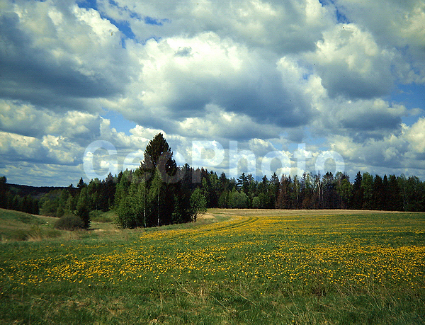 9x12, ���������, ������������� ������, ���, ������� ������