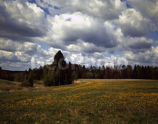 9x12, ���������, ������������� ������, ���, ������� ������