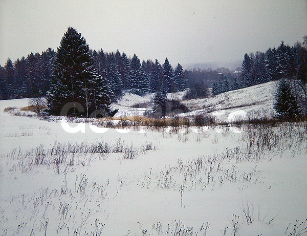 9x12, ���������, ������������� ������, ����, ������� ������