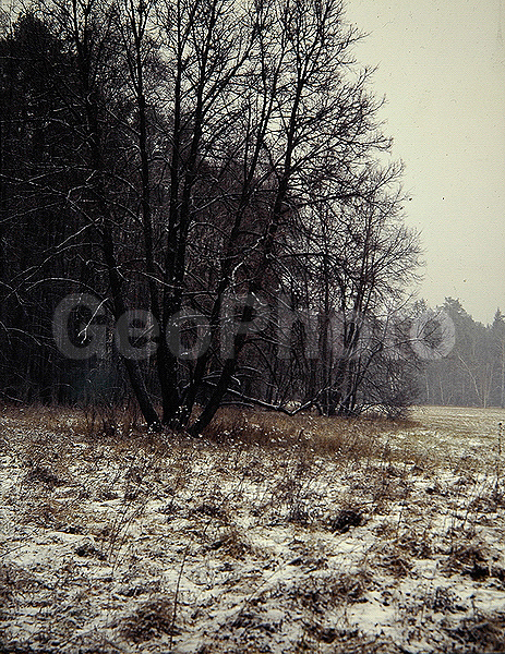 9x12, ���������, ������������� ������, ������� ������