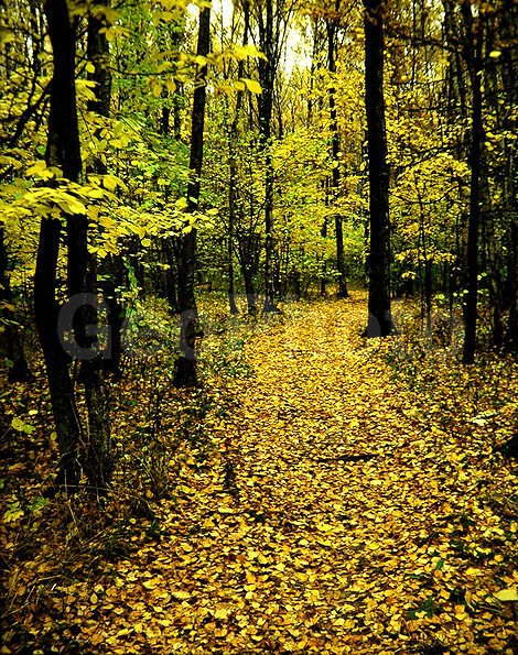 9x12, ���������, ������������� ������, ������, �������, �����, �������, �����, ������� ������