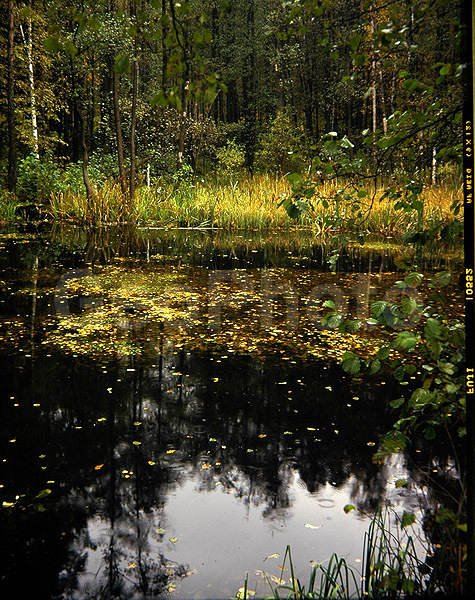 9x12, ���������, ������������� ������, ������� ������