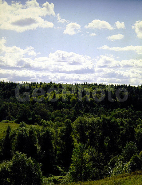 9x12, ���������, ������������� ������, ������� ������