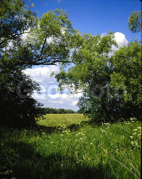 9x12, ���������, ������������� ������, ������� ������