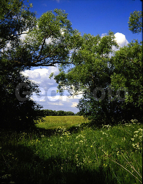 9x12, ���������, ������������� ������, ������� ������