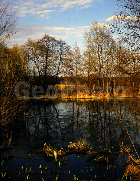 9x12, ���������, ������������� ������, ������� ������