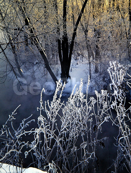 9x12, ���������, ������������� ������, ������� ������