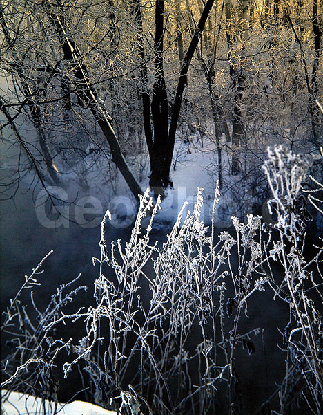 9x12, ���������, ������������� ������, ������� ������