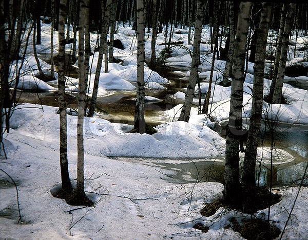 9x12, ���������, ������������� ������, ������� ������