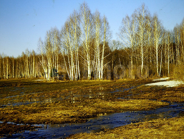 9x12, ���������, ������������� ������, ������� ������