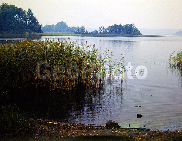 9x12, ���������, ������������� ������, ������� ������