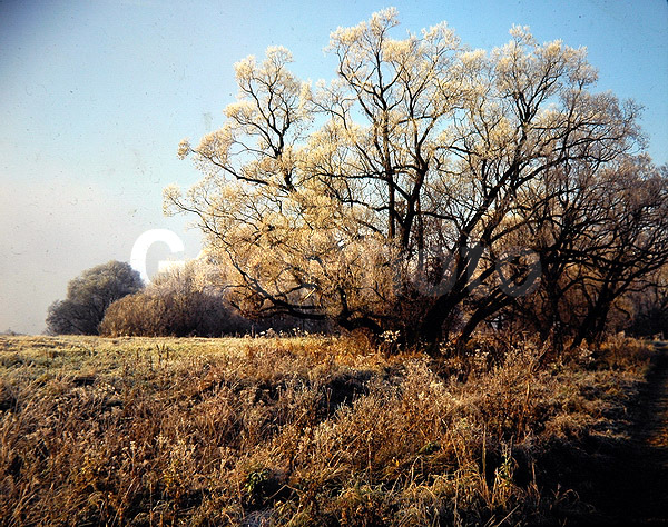 9x12, ���������, ������������� ������, ������� ������