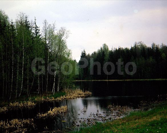 9x12, ���������, ������������� ������, ������� ������