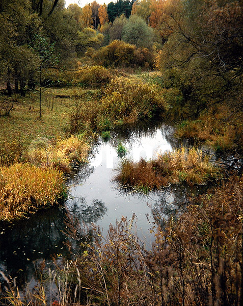 9x12, ���������, ������������� ������, ������� ������