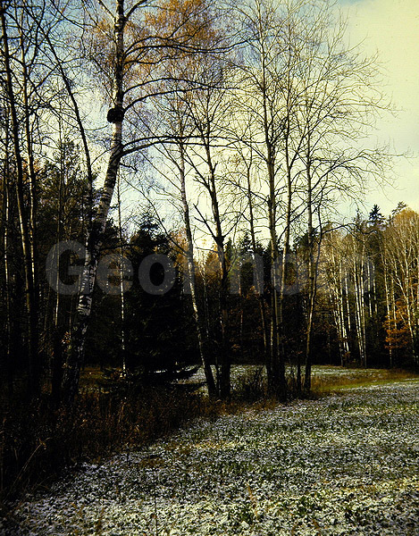 9x12, ���������, ������������� ������, ������� ������