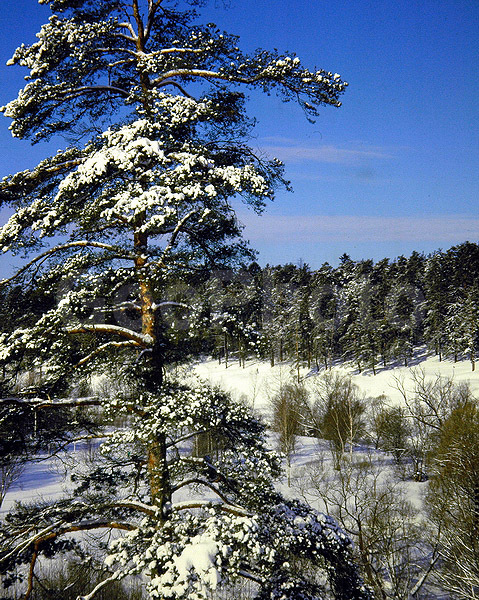 9x12, ���������, ������������� ������, ������� ������