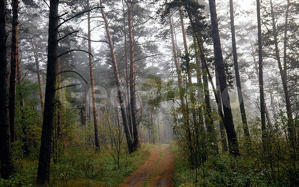 9x12, ���������, ������������� ������, ������� ������