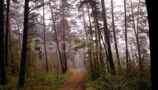 9x12, ���������, ������������� ������, ������� ������