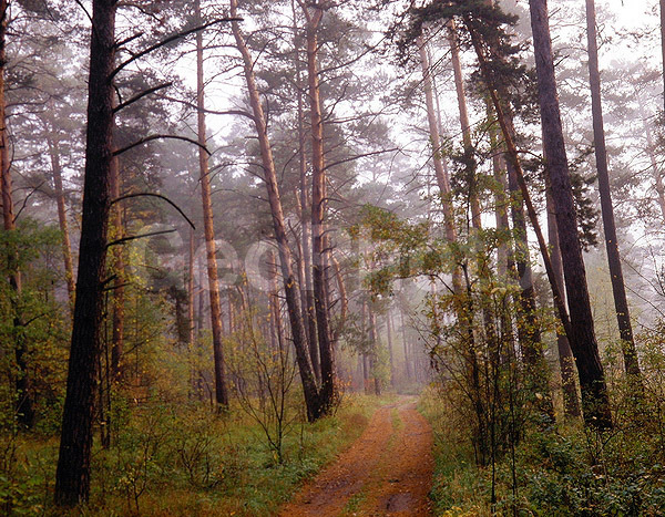 9x12, ���������, ������������� ������, ������� ������