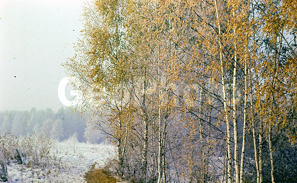 9x12, ���������, ������������� ������, ������� ������