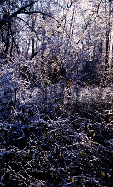 9x12, ���������, ������������� ������, ������� ������