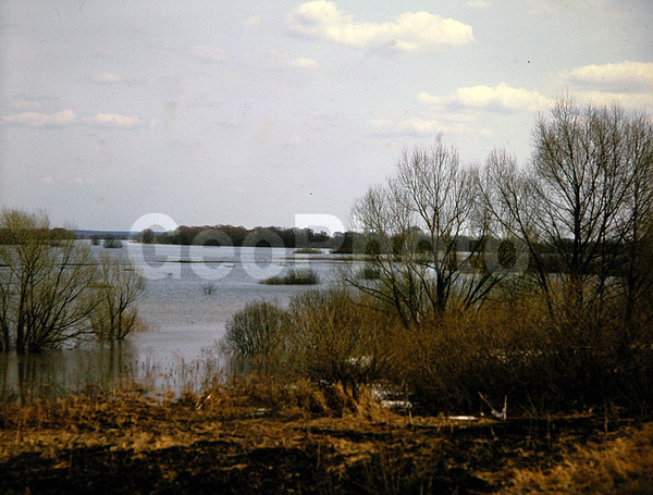 9x12, ���������, ������������� ������, ������� ������