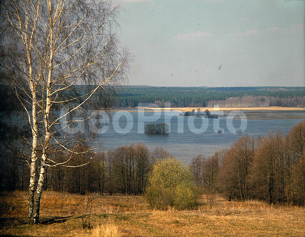 9x12, ���������, ������������� ������, ������� ������