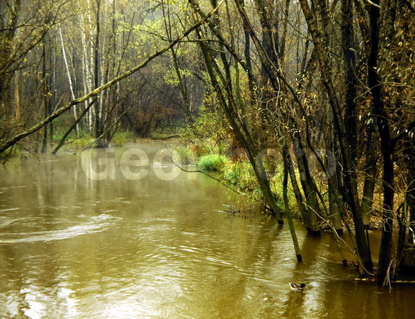 9x12, ���������, ������������� ������, ������� ������