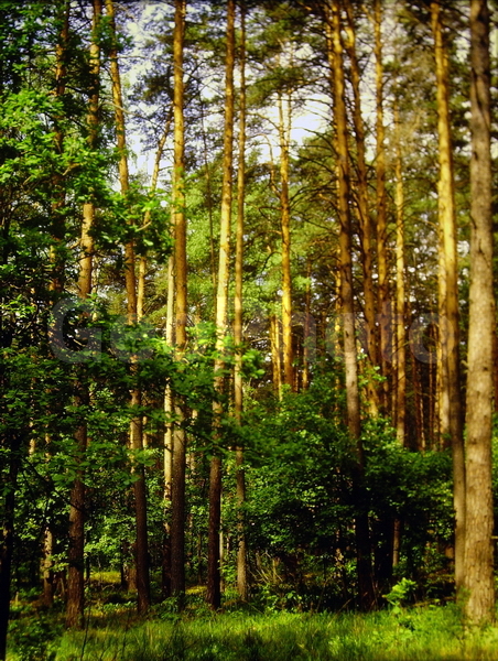 9�12, ������, ������������� ������, ������� ������, ������������, ���������, ������, ������� ������