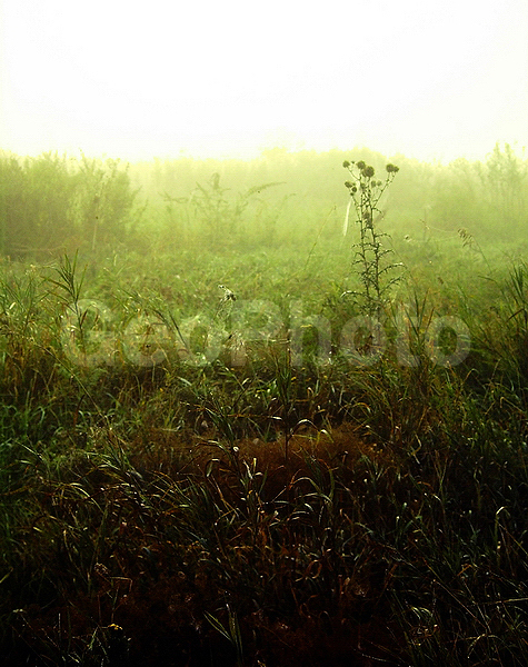 9�12, ������, ������������� ������, ������� ������, ������������, ���������, ������, ������� ������