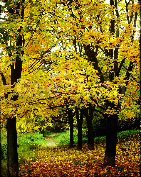 9�12, ������, ������������� ������, ������� ������, ������������, ���������, ������, ������� ������