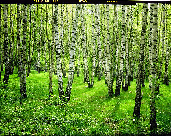 9�12, ������, ������������� ������, ������� ������, ������������, ���������, ������, ������� ������