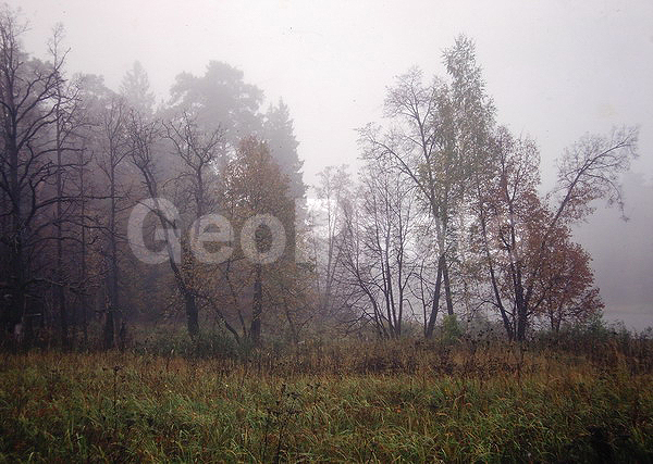 9�12, ������, ������������� ������, ������� ������, ������������, ���������, ������, ������� ������