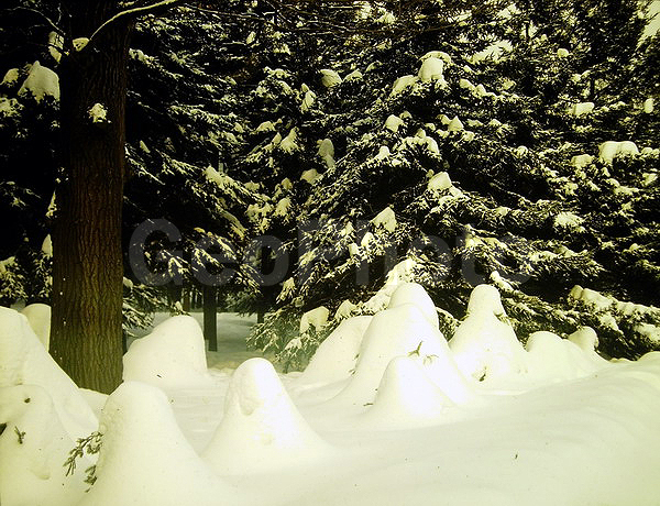 9�12, ������, ������������� ������, ������� ������, ������������, ���������, ������, ������� ������