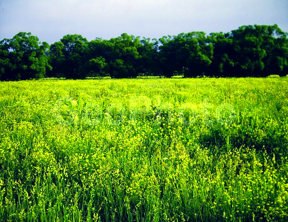 9�12, ������, ������������� ������, ������� ������, ������������, ���������, ������, ������� ������