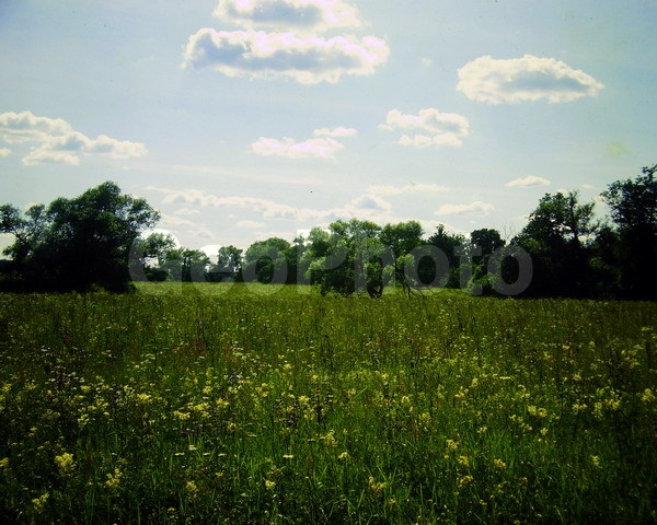 9�12, ������, ������������� ������, ������� ������, ������������, ���������, ������, ������� ������