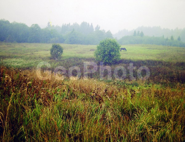 9�12, ������, ������������� ������, ������� ������, ������������, ���������, ������, ������� ������