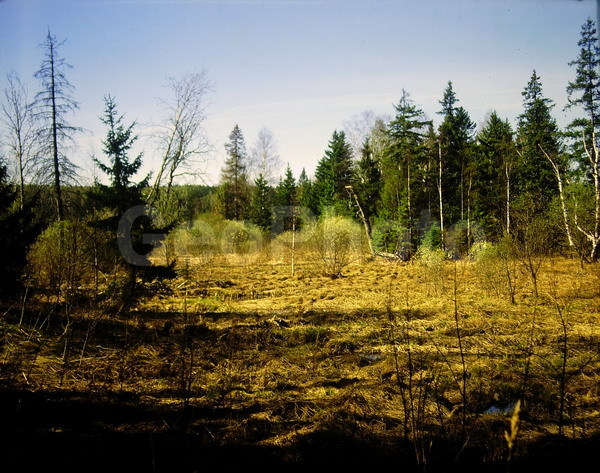 9�12, ������, ������������� ������, ������� ������, ������������, ���������, ������, ������� ������