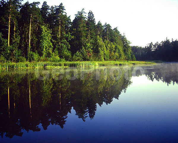 9�12, ������, ������������� ������, ������� ������, ������������, ���������, ������, ������� ������