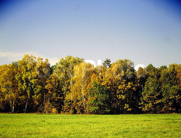 9�12, ������, ������������� ������, ������� ������, ������������, ���������, ������, ������� ������