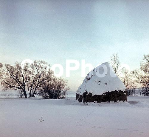 6�6, ������, ������� ����, ����, ���������, ����������, ��������, �������, ������, ����, ������