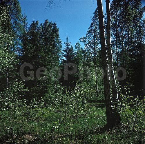 6�6, ������, ������� ����, ���������, ����������, ��������, �������, ������